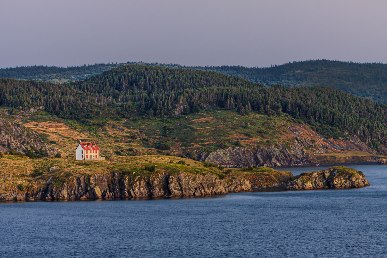 NFLD_04223__MG_2822.jpg