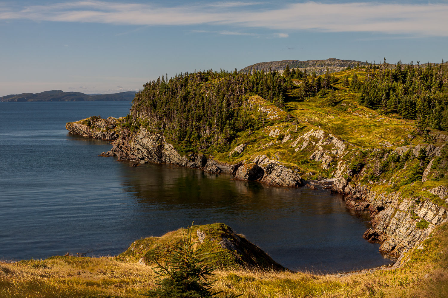 NFLD_04313__MG_2873.jpg