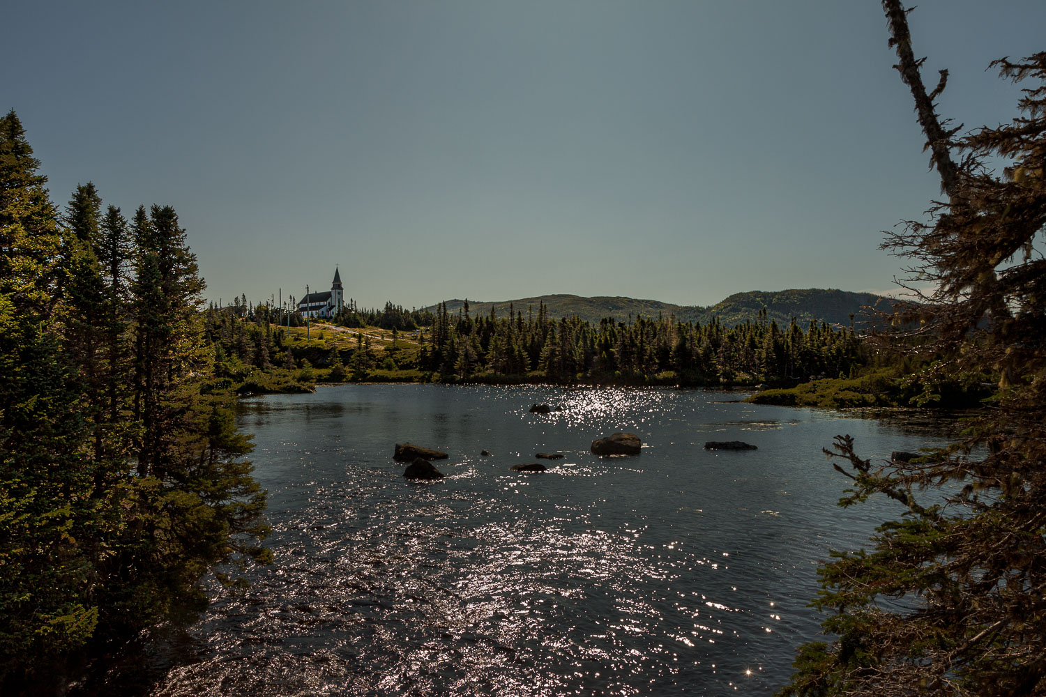 NFLD_04314__MG_2874.jpg