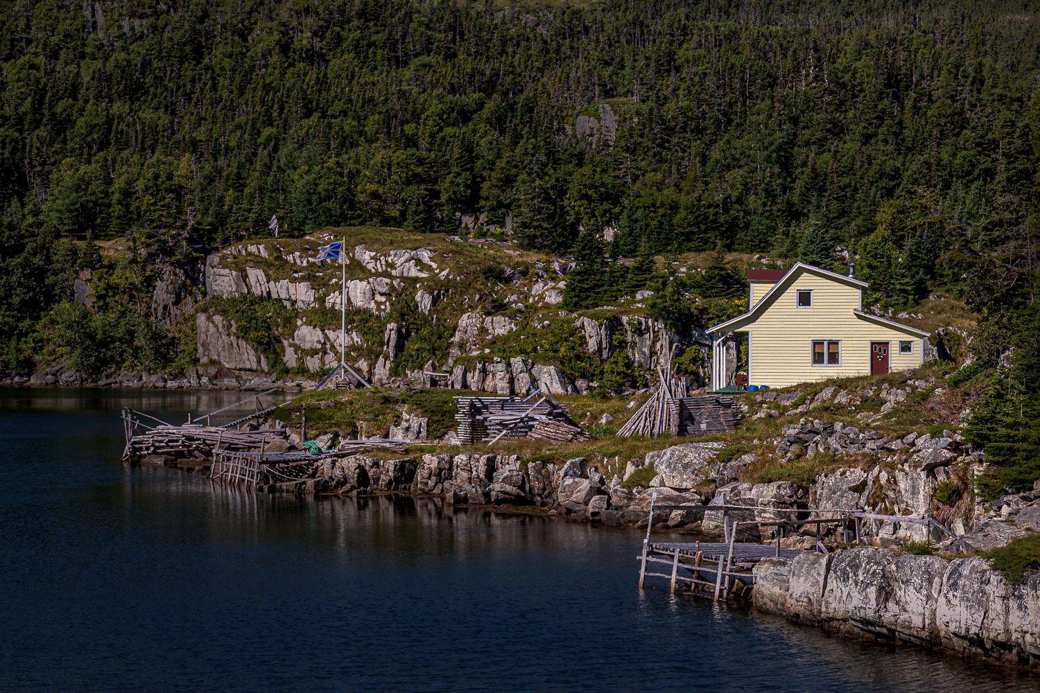 NFLD_04322__MG_2882.jpg