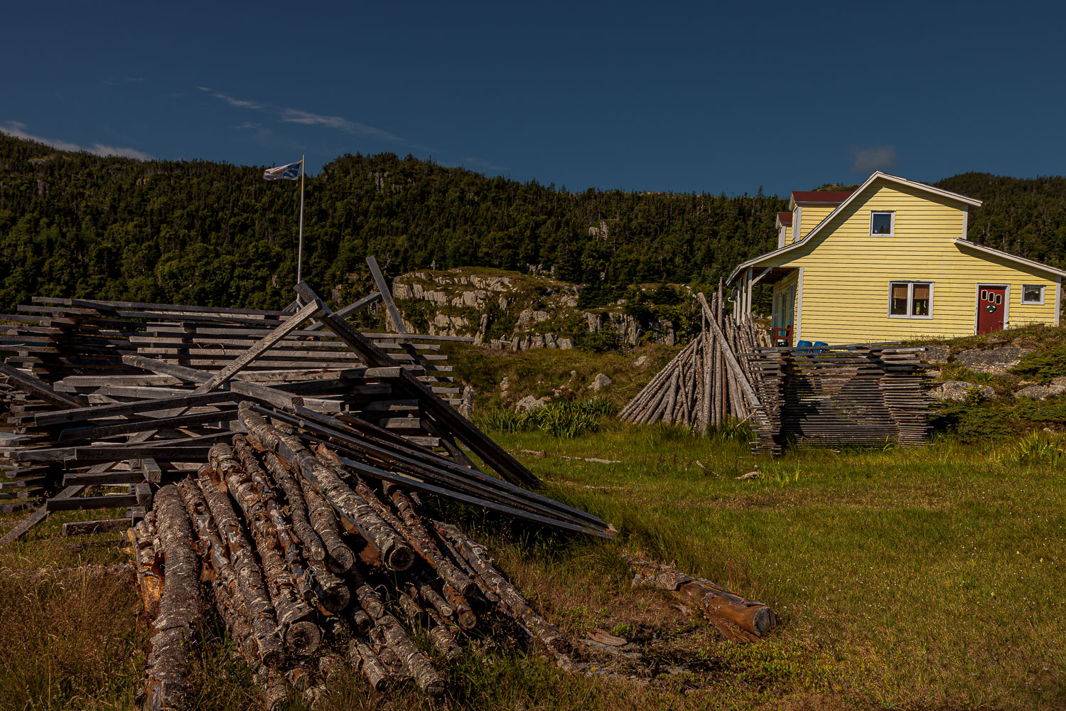 NFLD_04323__MG_2883.jpg