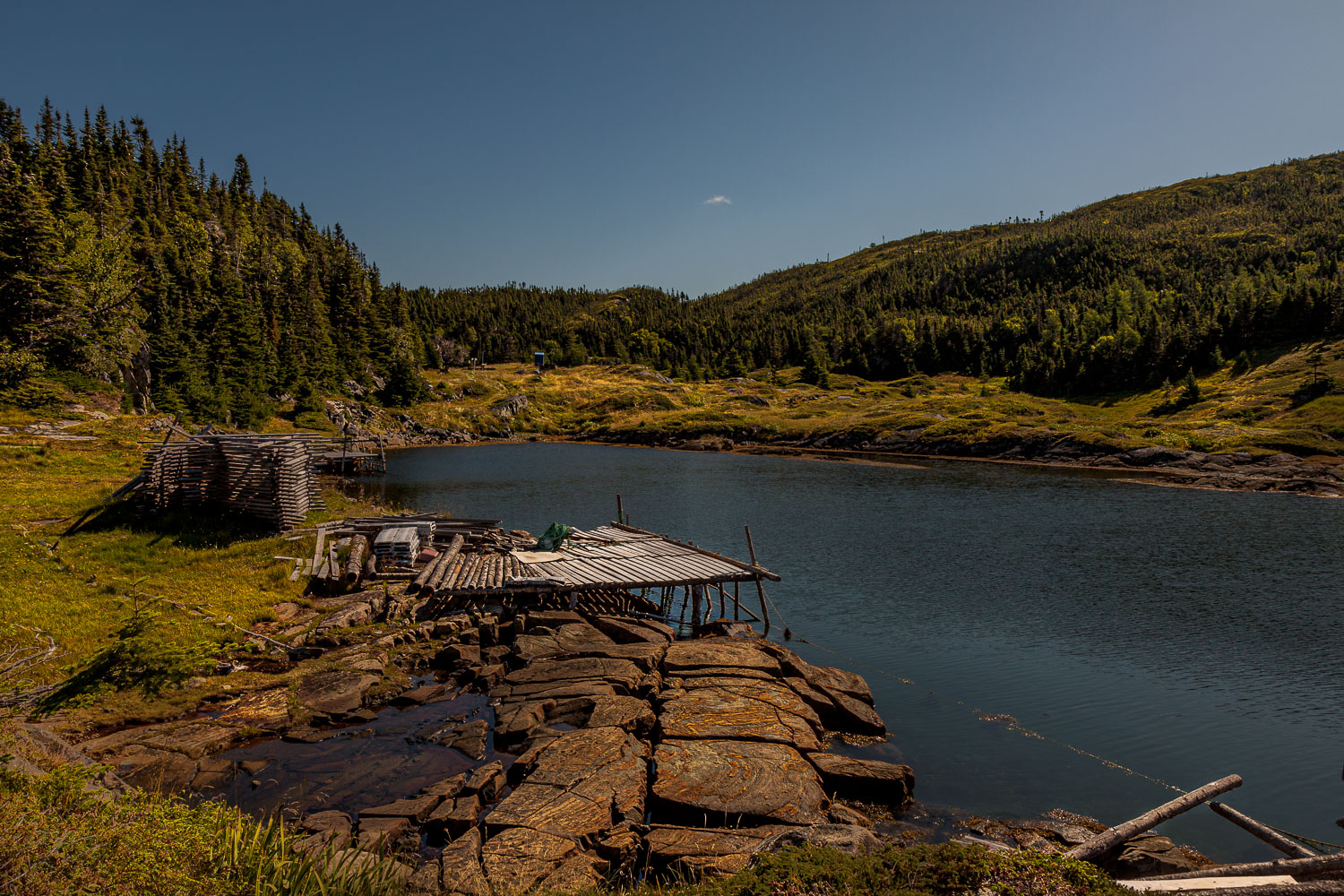 NFLD_04325__MG_2885.jpg