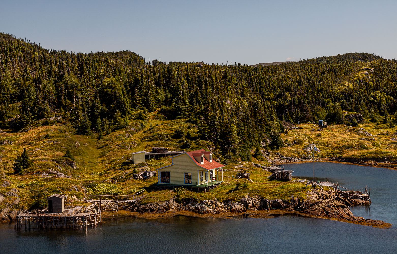 NFLD_04353__MG_2913.jpg