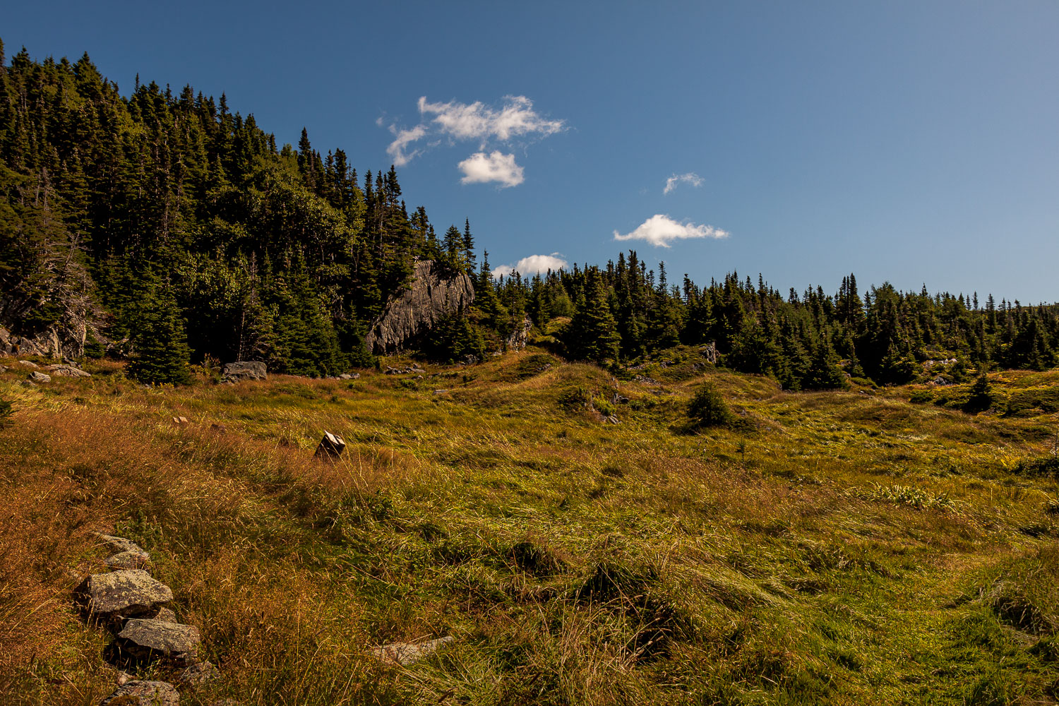 NFLD_04366__MG_2926.jpg