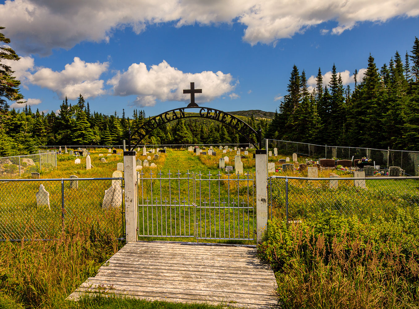 NFLD_04380__MG_2940.jpg