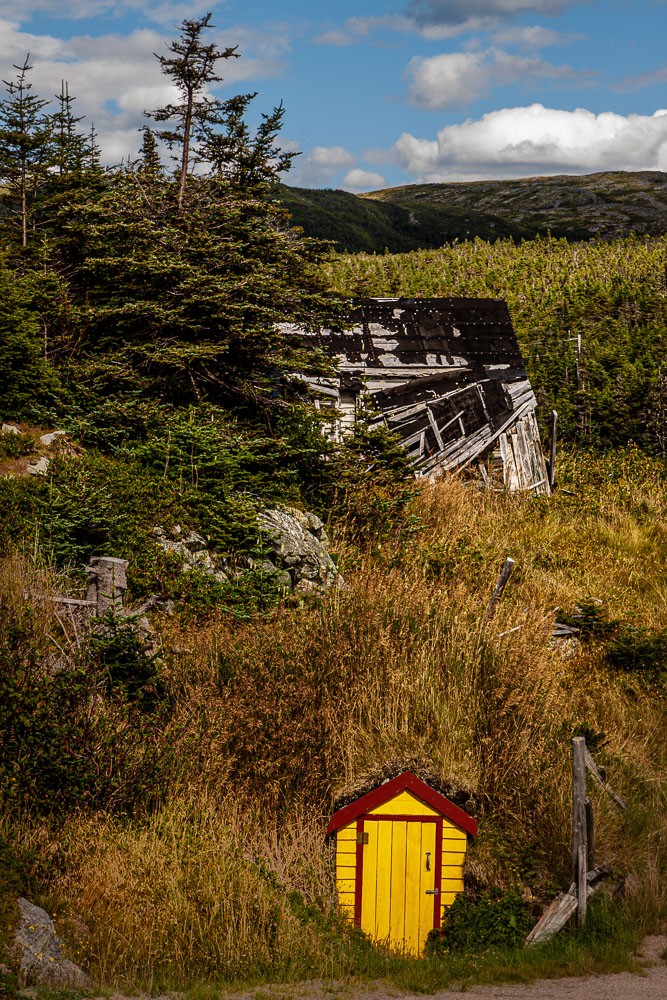 NFLD_04418__MG_2978.jpg