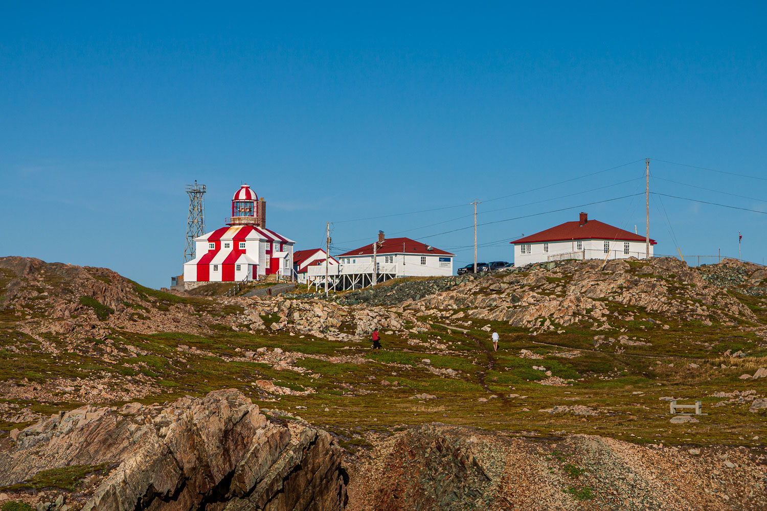 NFLD_04429__MG_2989.jpg