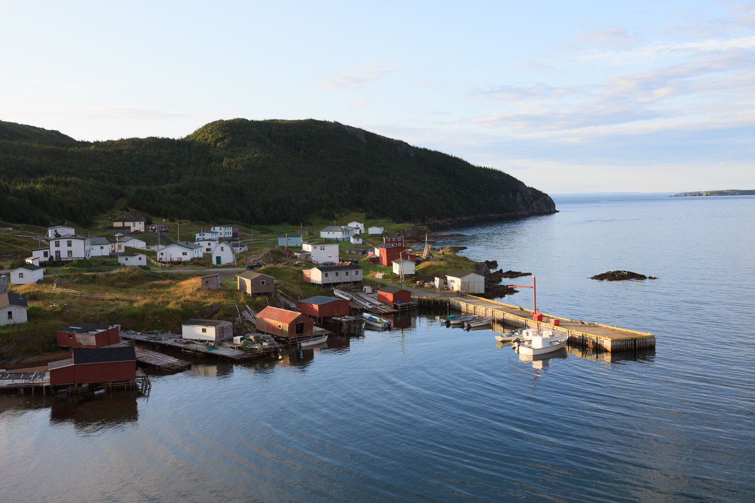 NFLD_2278__MG_0877.jpg