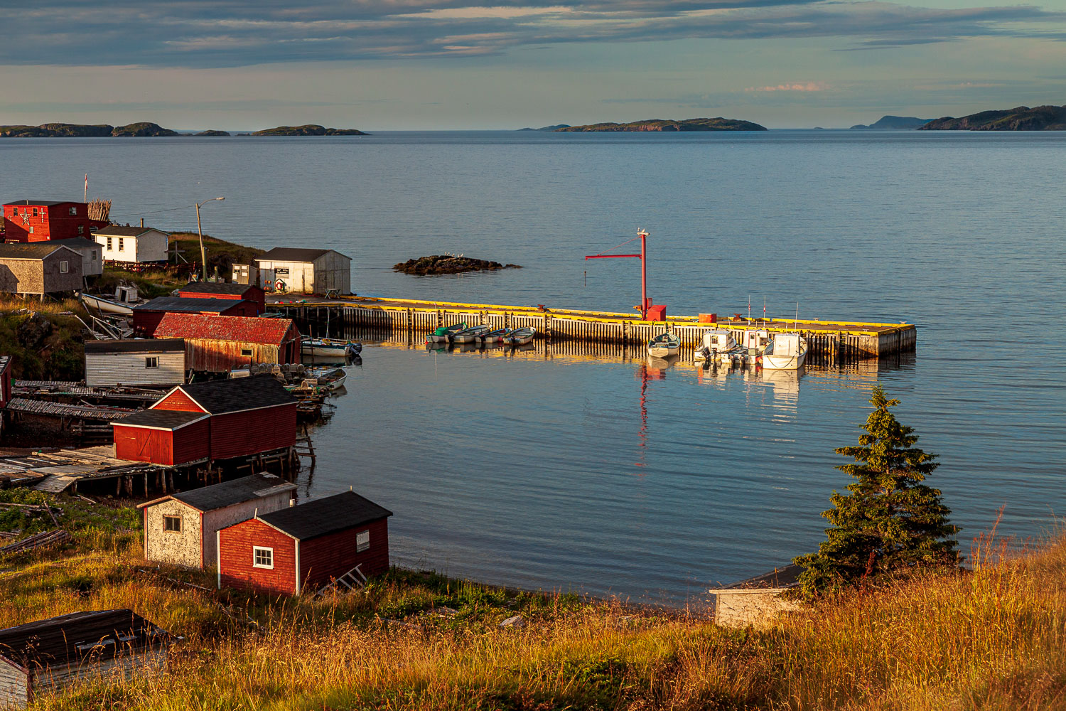 NFLD_2282__MG_0881.jpg