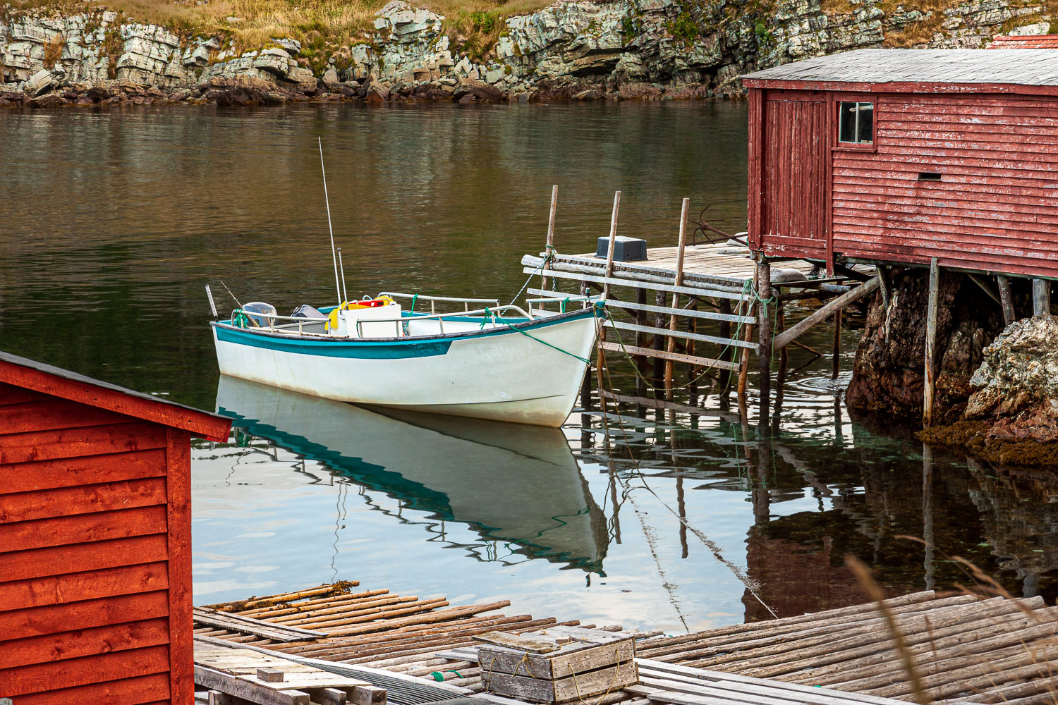 NFLD_2304__MG_0903.jpg