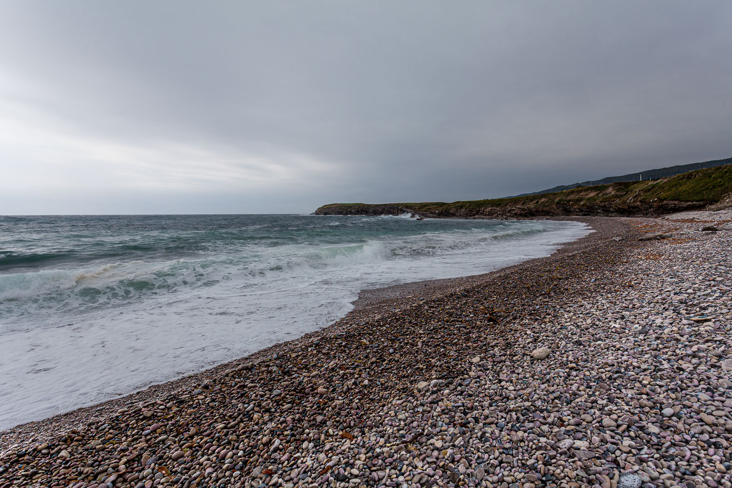 NFLD_14_62072__MG_9329.jpg