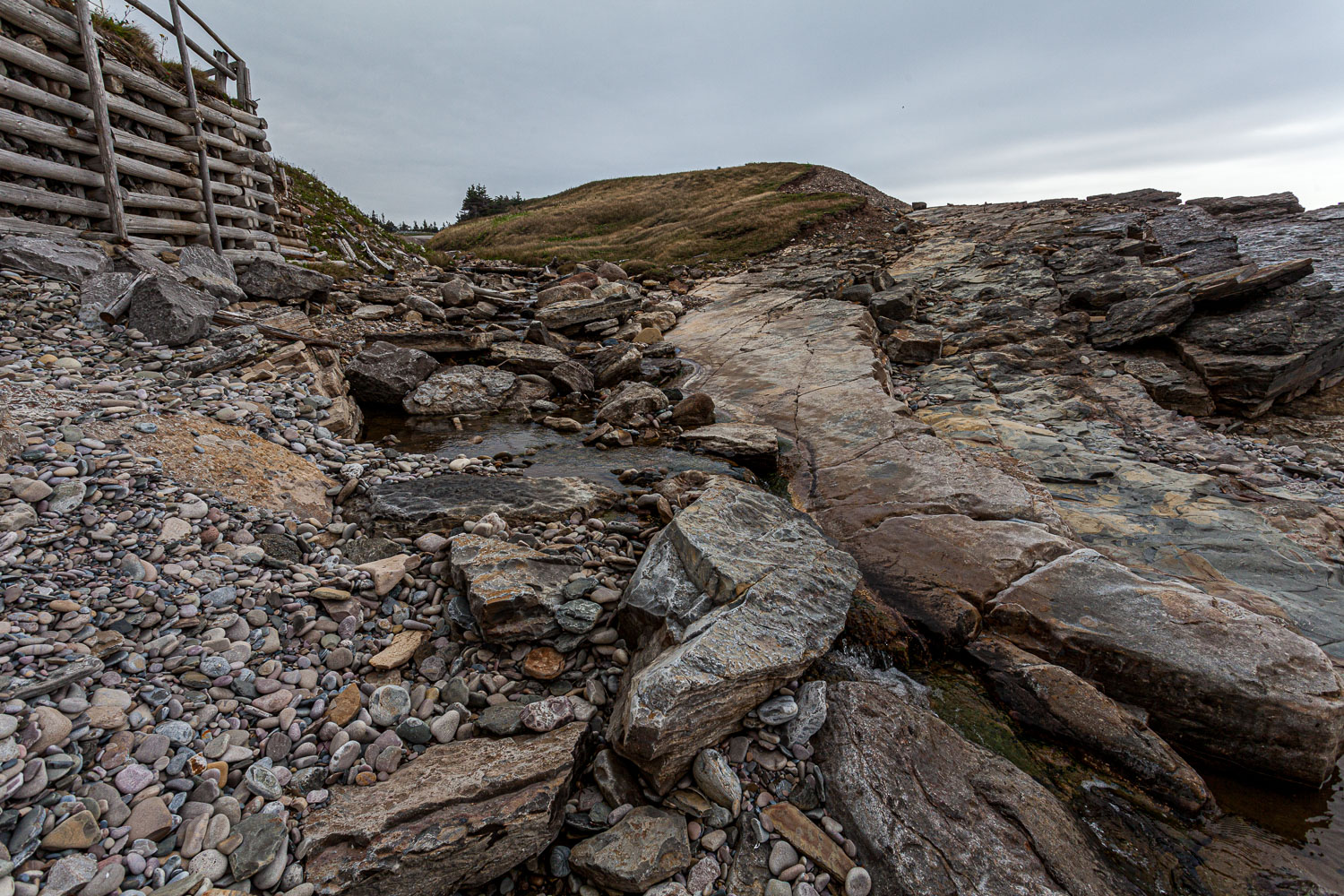 NFLD_14_62080__MG_9333.jpg