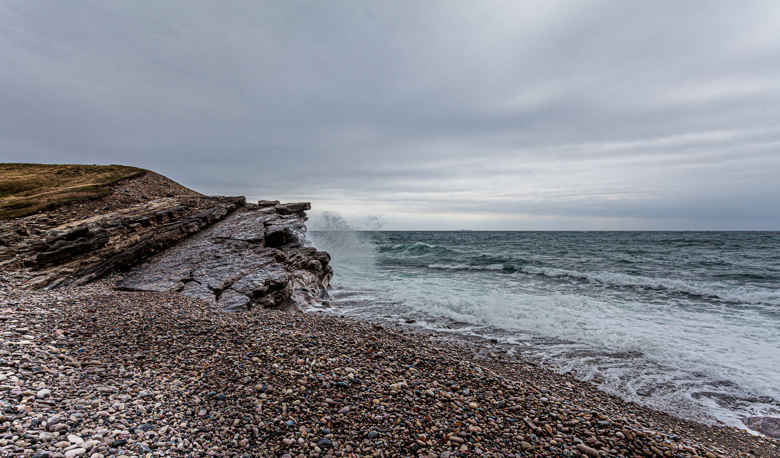 NFLD_14_62088__MG_9337.jpg