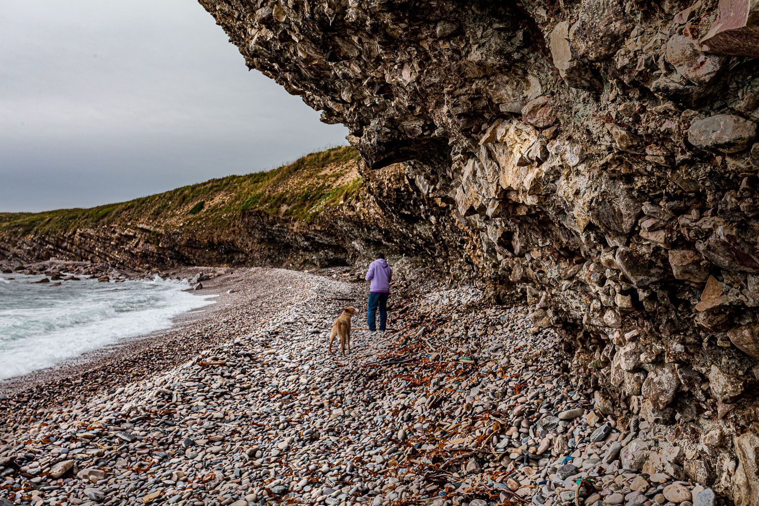 NFLD_14_62100__MG_9343.jpg