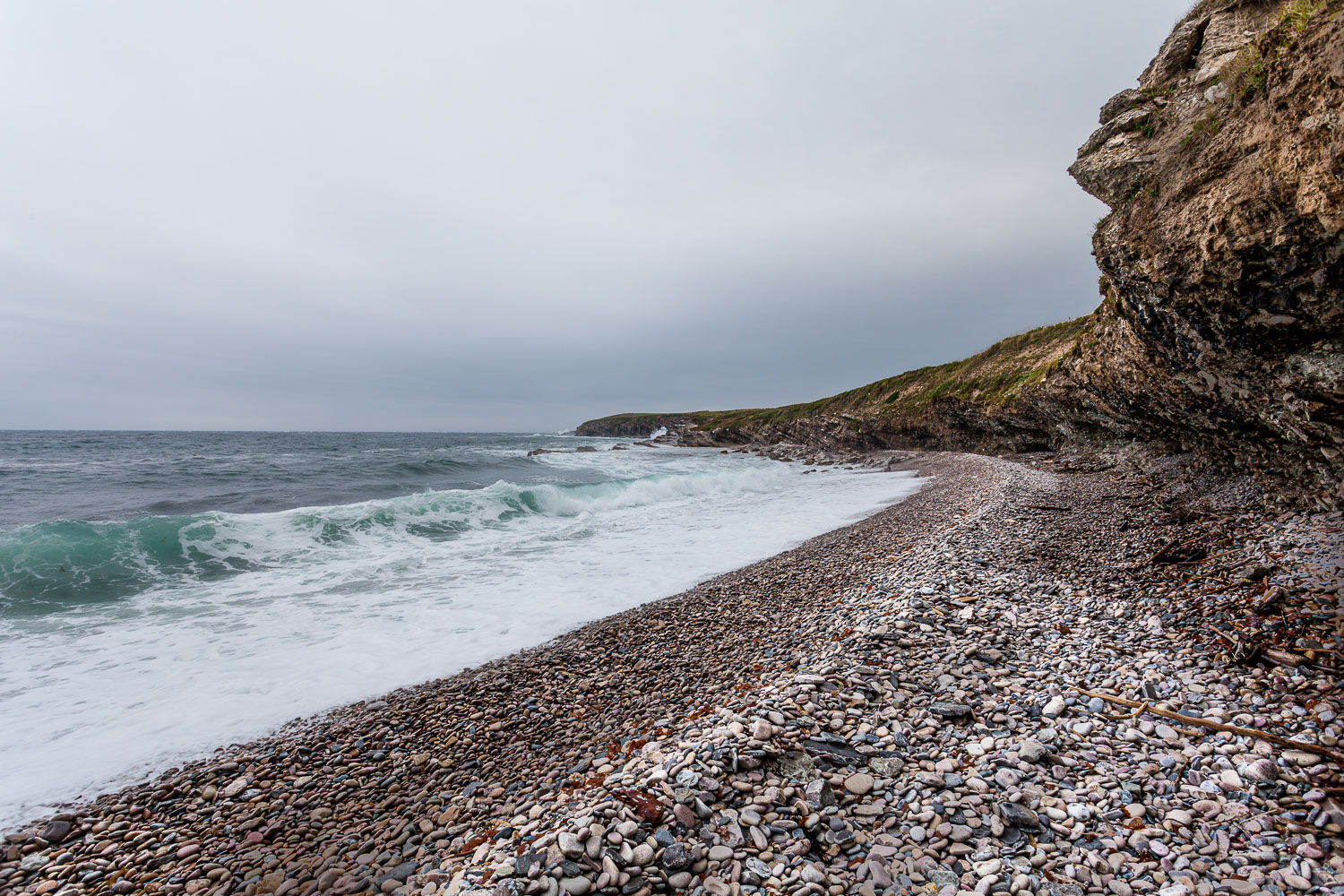 NFLD_14_62106__MG_9346.jpg