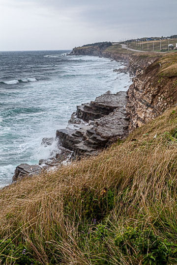 NFLD_14_62052__MG_9319.jpg