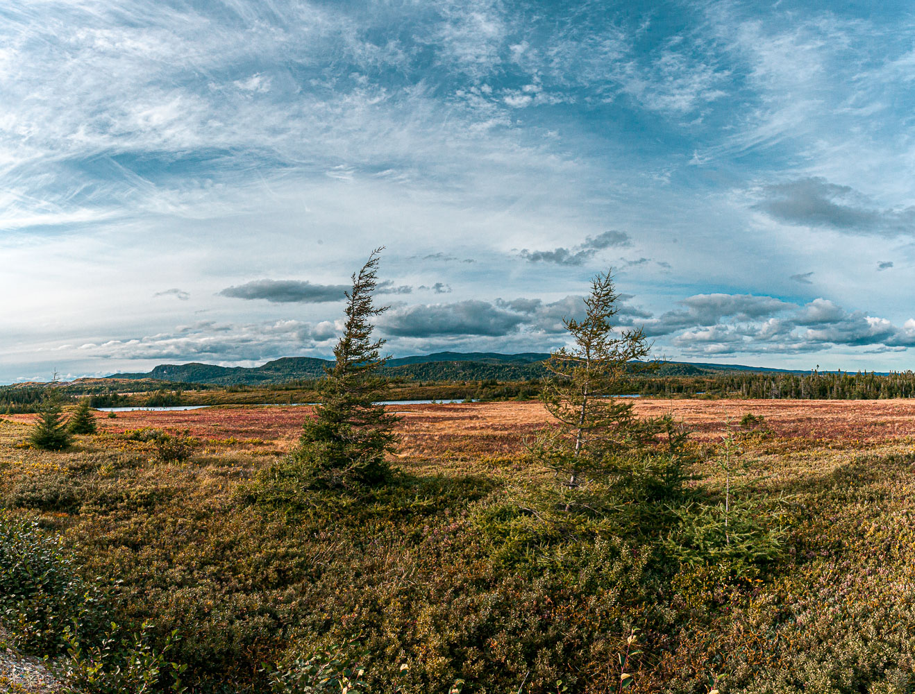 NFLD_14_59242__MG_9949-Pano.jpg