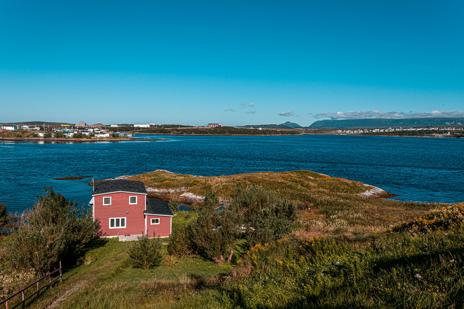 NFLD_14_61712__MG_9140.jpg