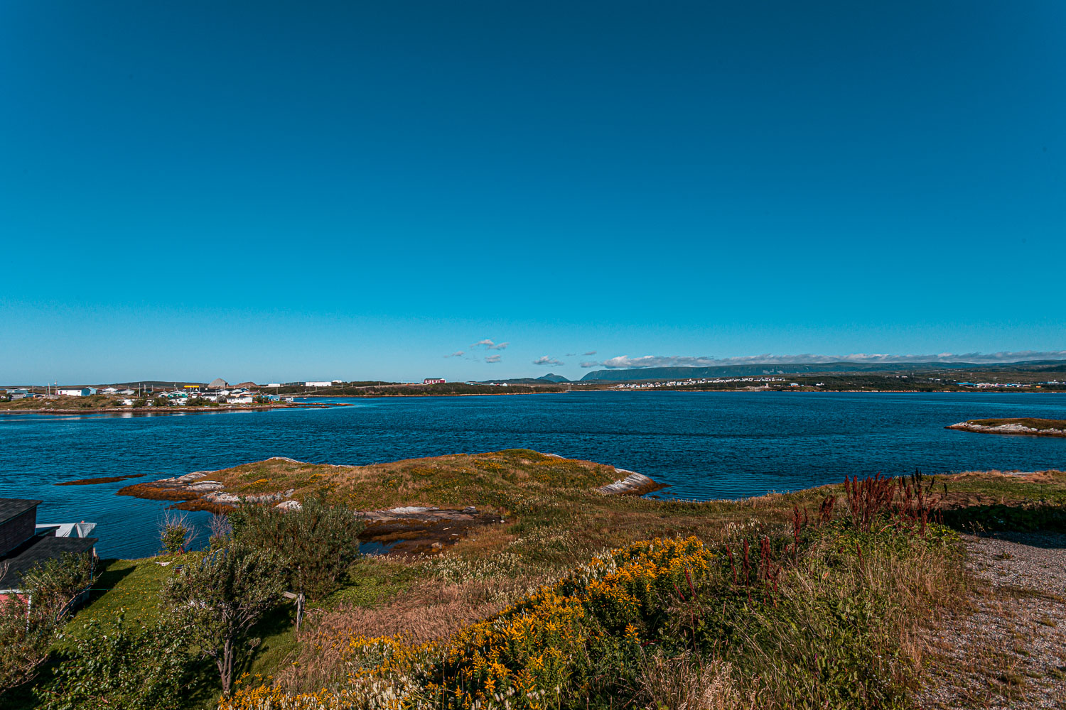 NFLD_14_61718__MG_9143.jpg