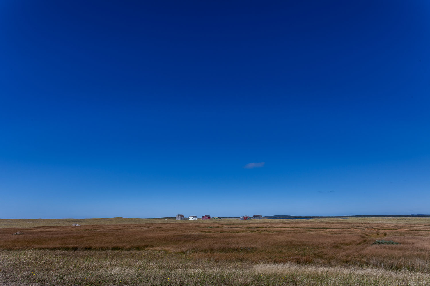 NFLD_14_59051__MG_9758.jpg