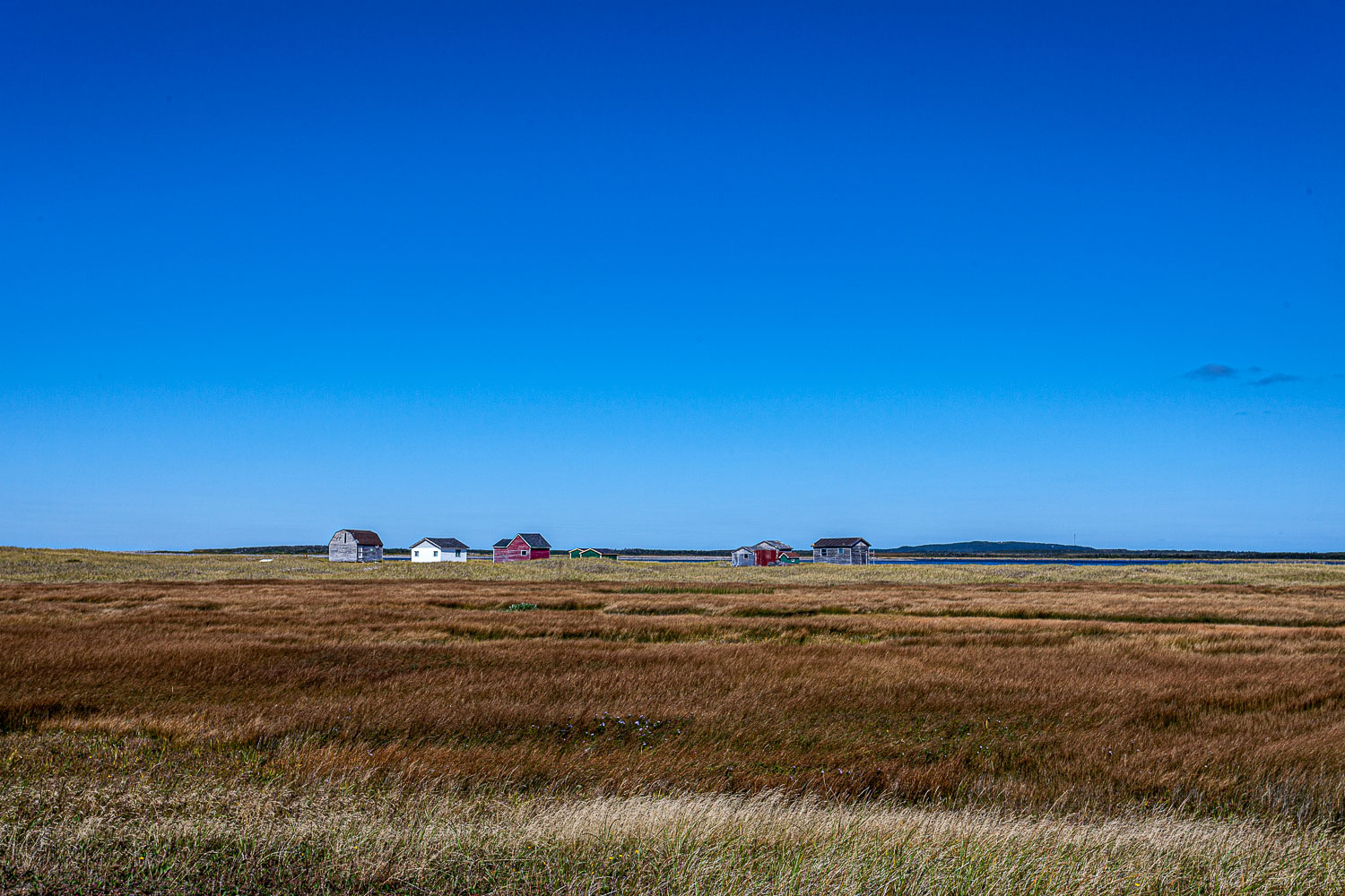 NFLD_14_59053__MG_9760.jpg