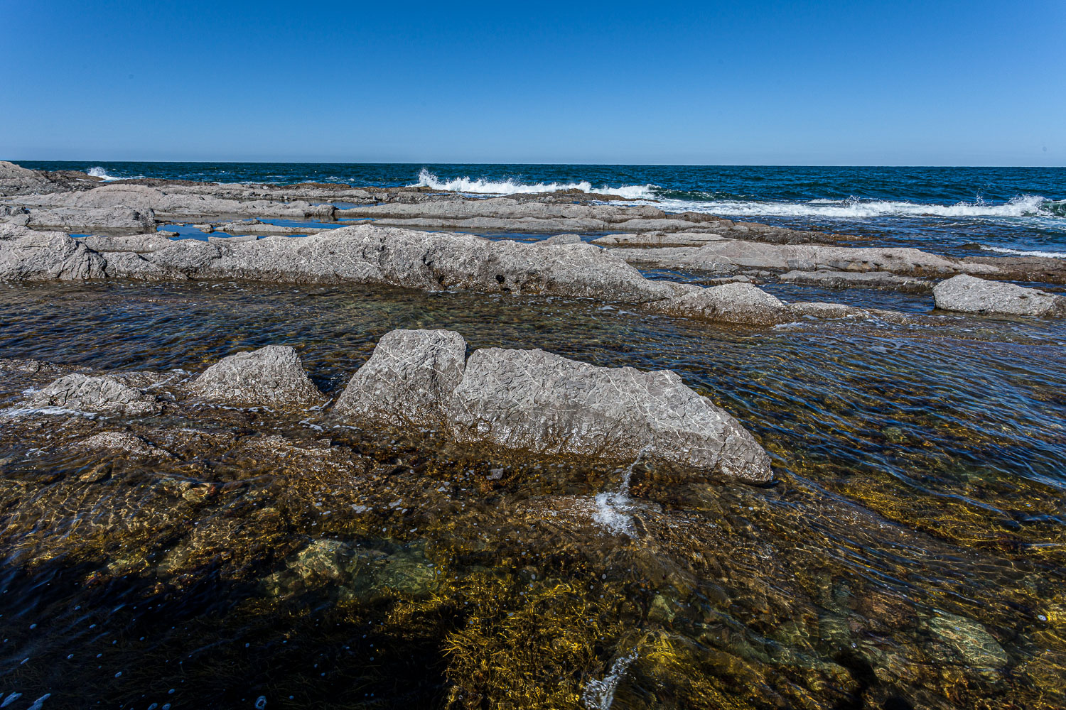 NFLD_14_59055__MG_9762.jpg