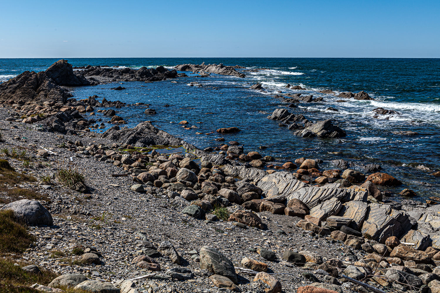 NFLD_14_59081__MG_9788.jpg