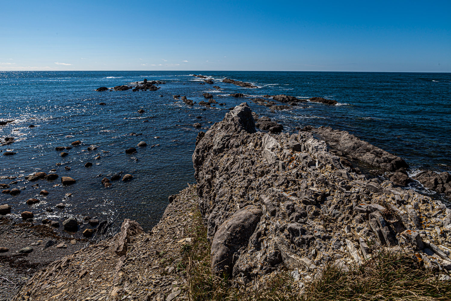 NFLD_14_59089__MG_9796.jpg