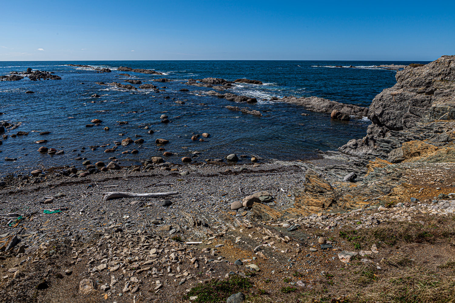 NFLD_14_59095__MG_9802.jpg