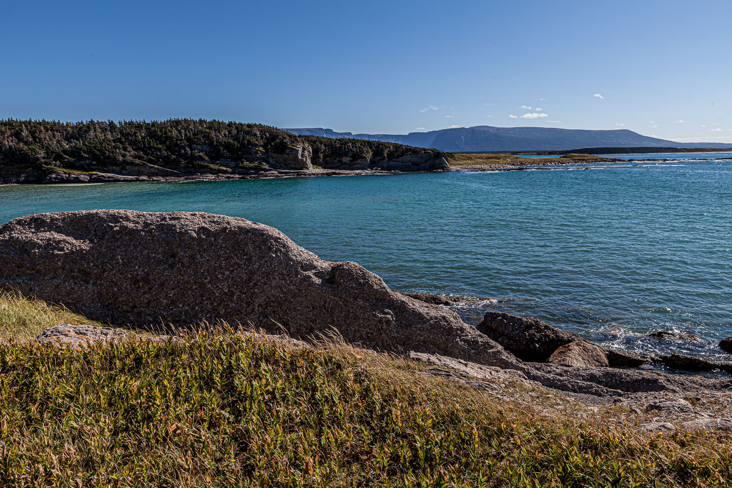 NFLD_14_59096__MG_9803.jpg