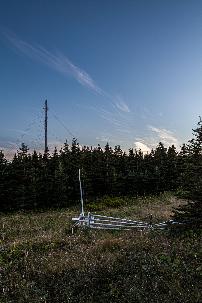 NFLD_14_59106__MG_9813.jpg