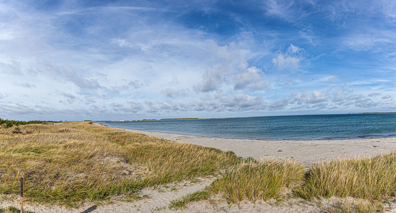 NFLD_14_62482__MG_9534-Pano.jpg