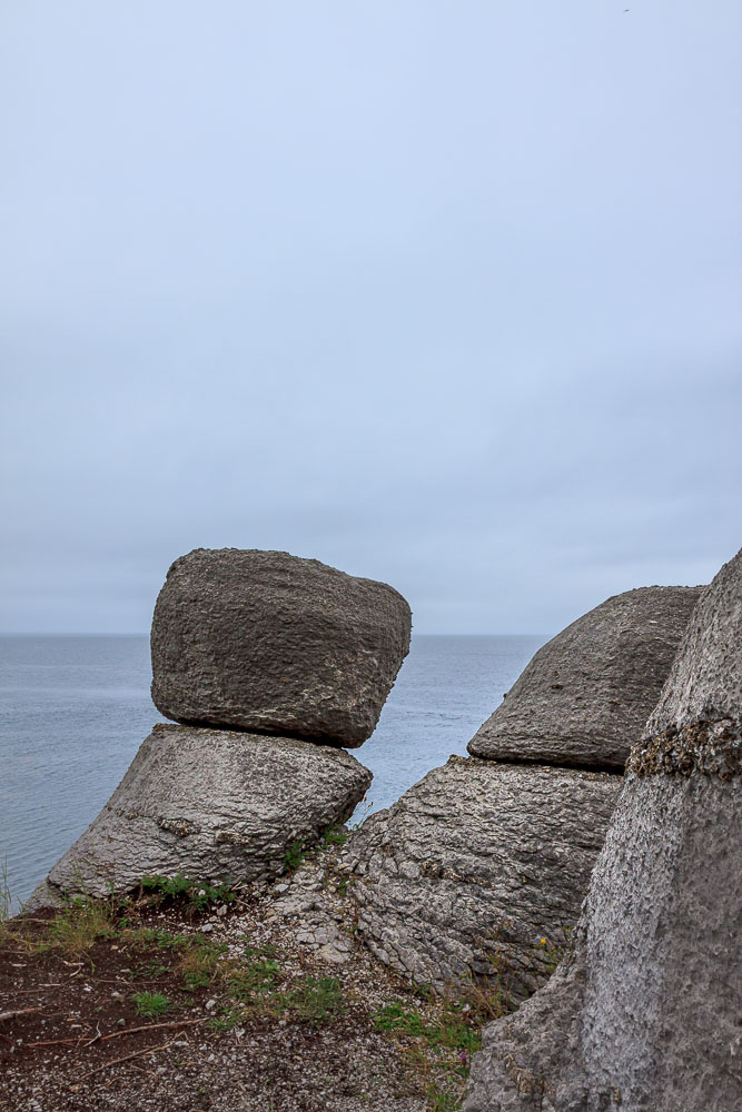 NFLD_0502__MG_9229.jpg