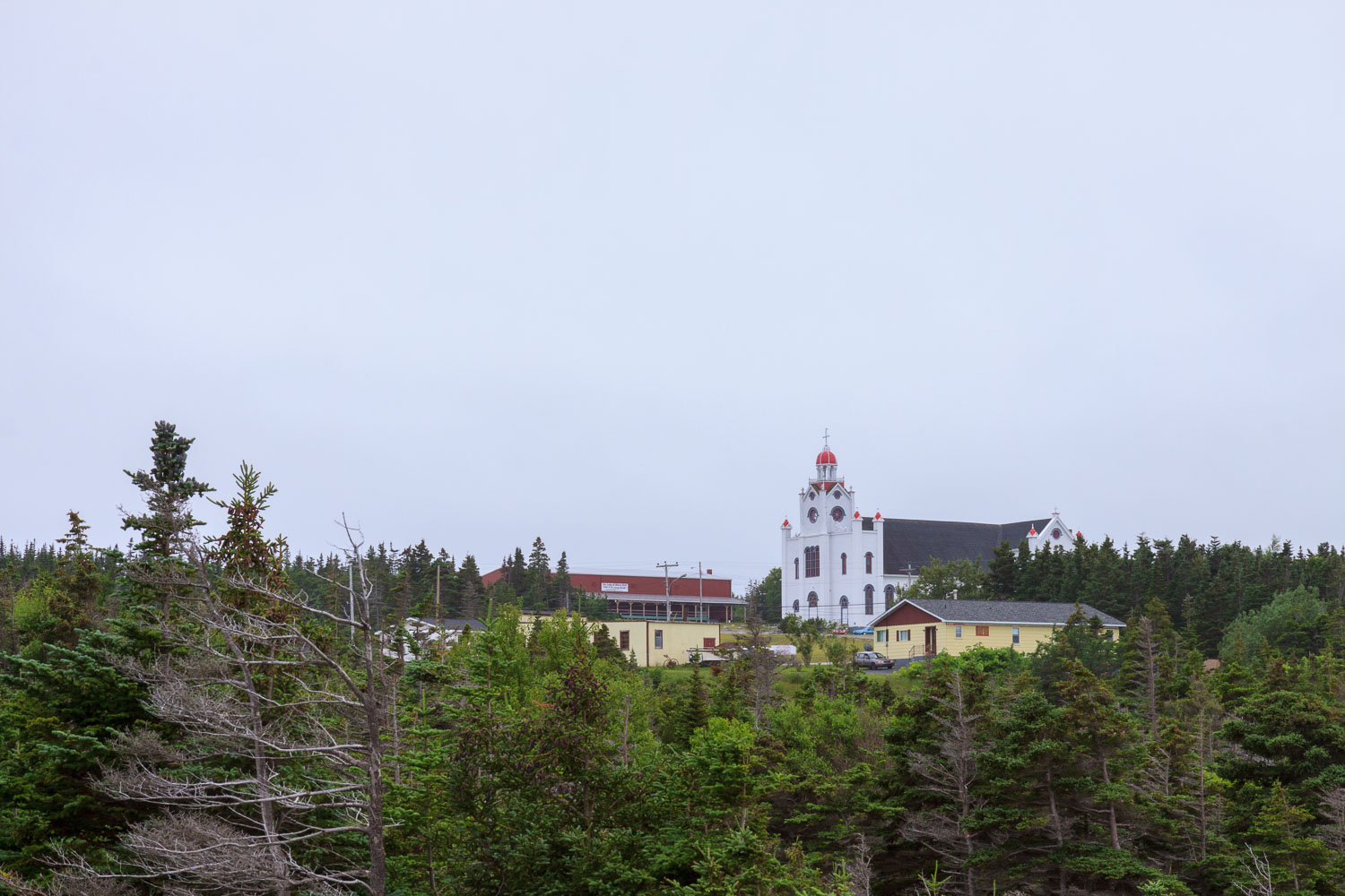 NFLD_0506__MG_9233.jpg