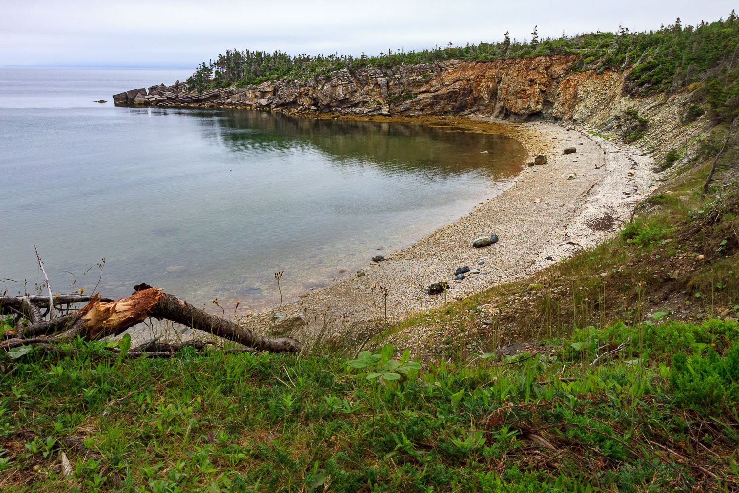 NFLD_0514__MG_9241.jpg