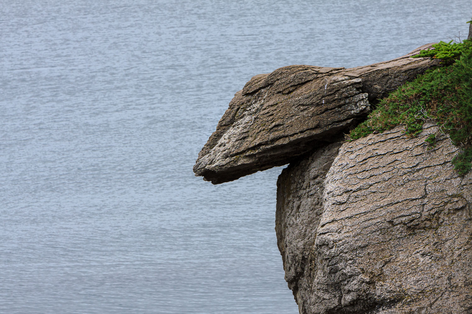 NFLD_0518__MG_9245.jpg