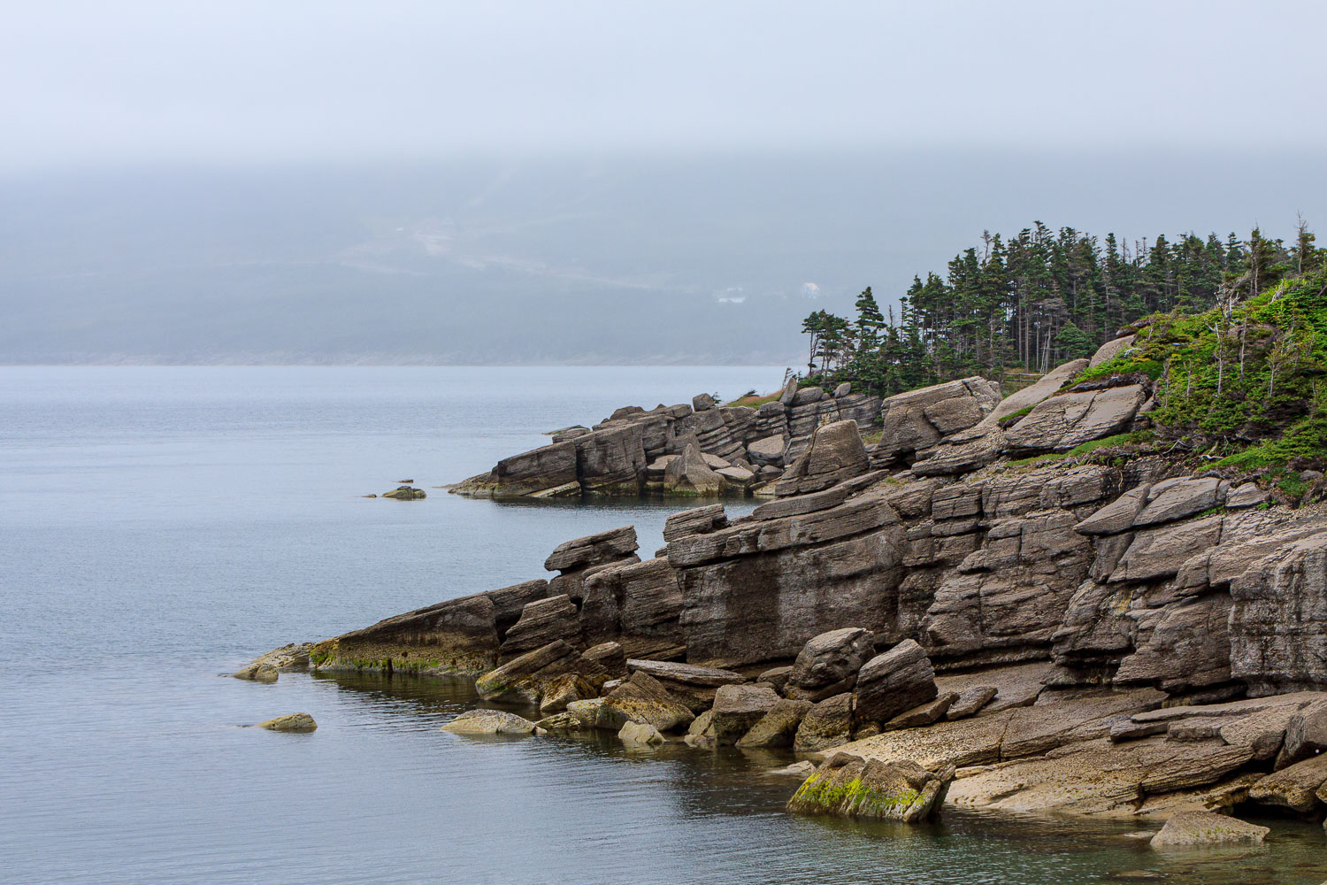 NFLD_0522__MG_9249.jpg