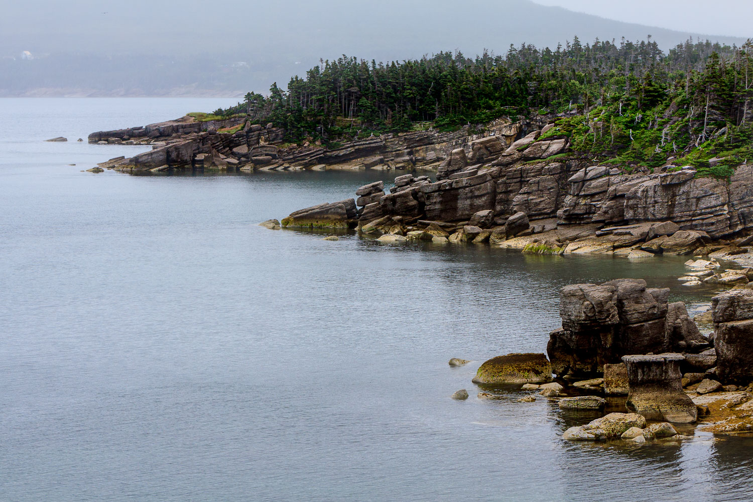 NFLD_0528__MG_9255.jpg