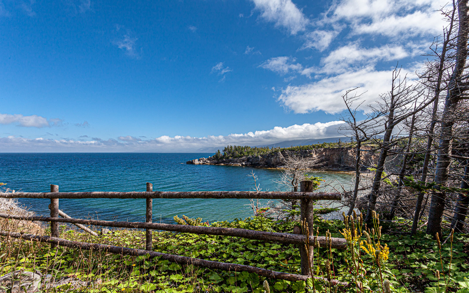 NFLD_14_61798__MG_9192.jpg