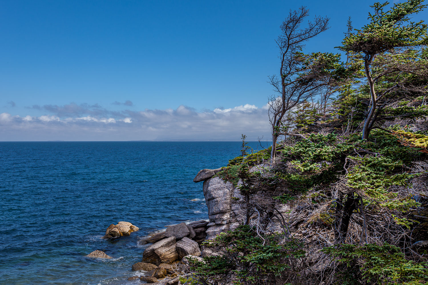 NFLD_14_61822__MG_9204.jpg