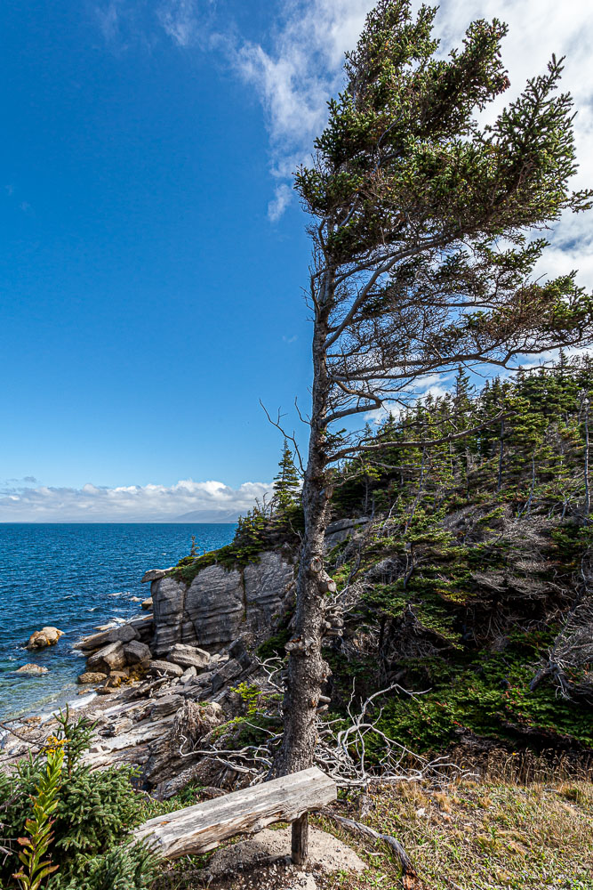 NFLD_14_61824__MG_9205.jpg