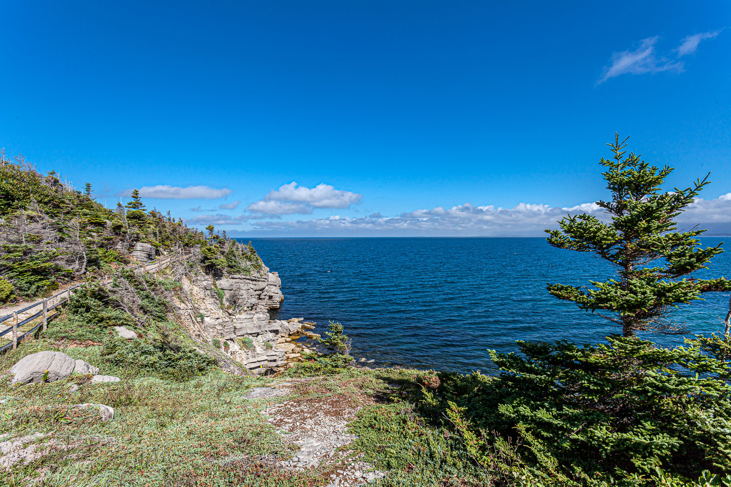 NFLD_14_61842__MG_9214.jpg