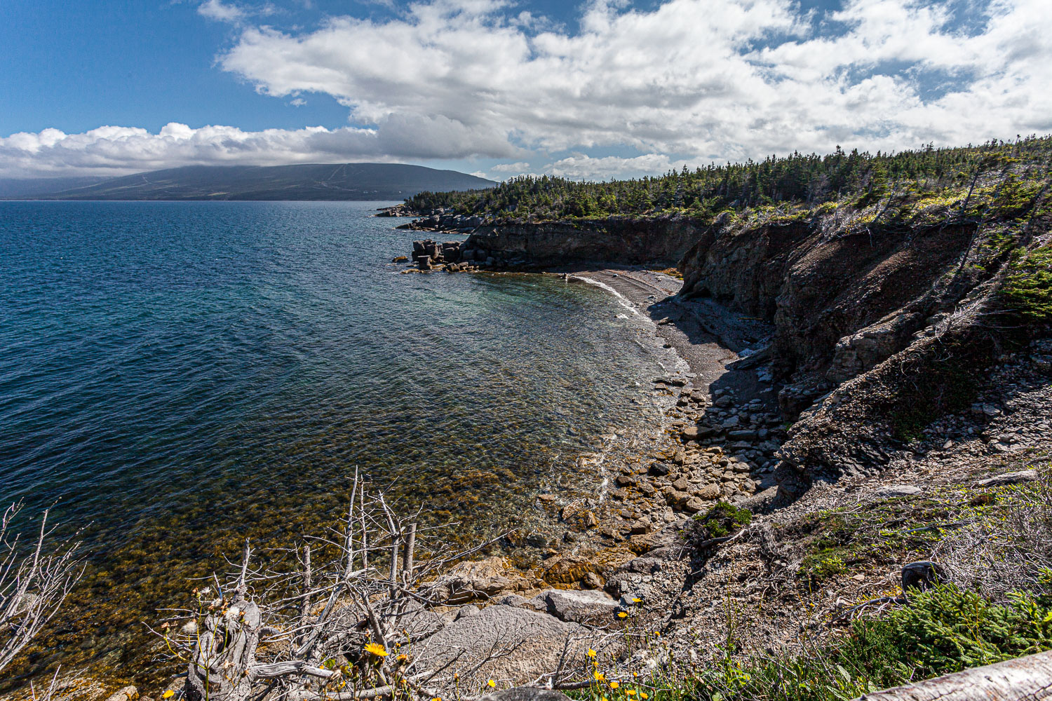 NFLD_14_61848__MG_9217.jpg