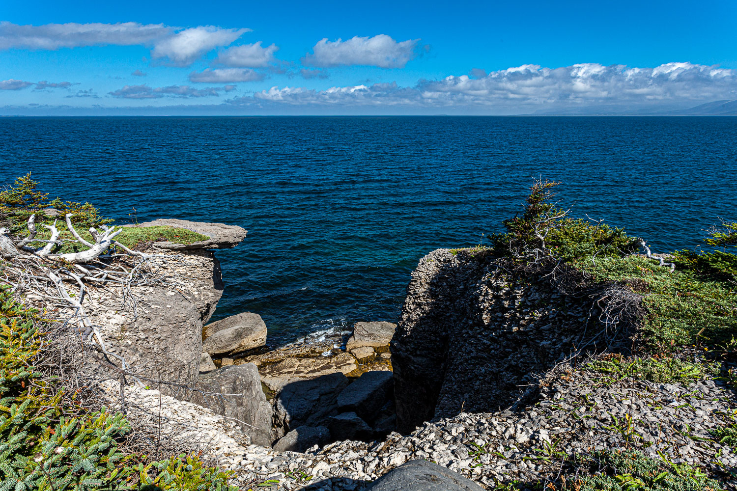 NFLD_14_61868__MG_9227.jpg