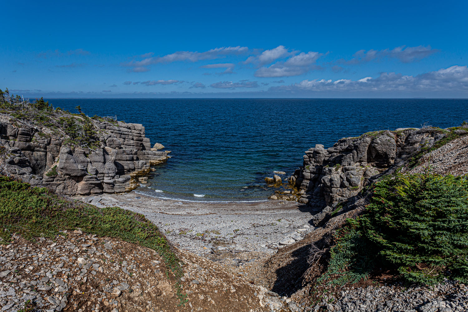 NFLD_14_61872__MG_9229.jpg