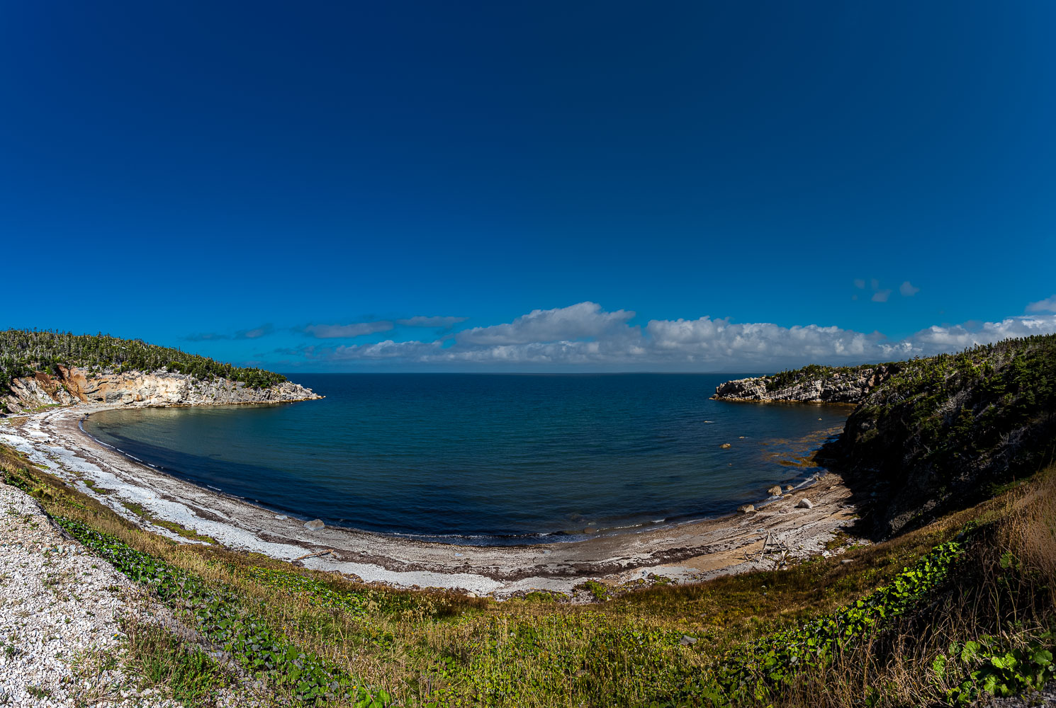 NFLD_14_61900__MG_9243-Edit.jpg