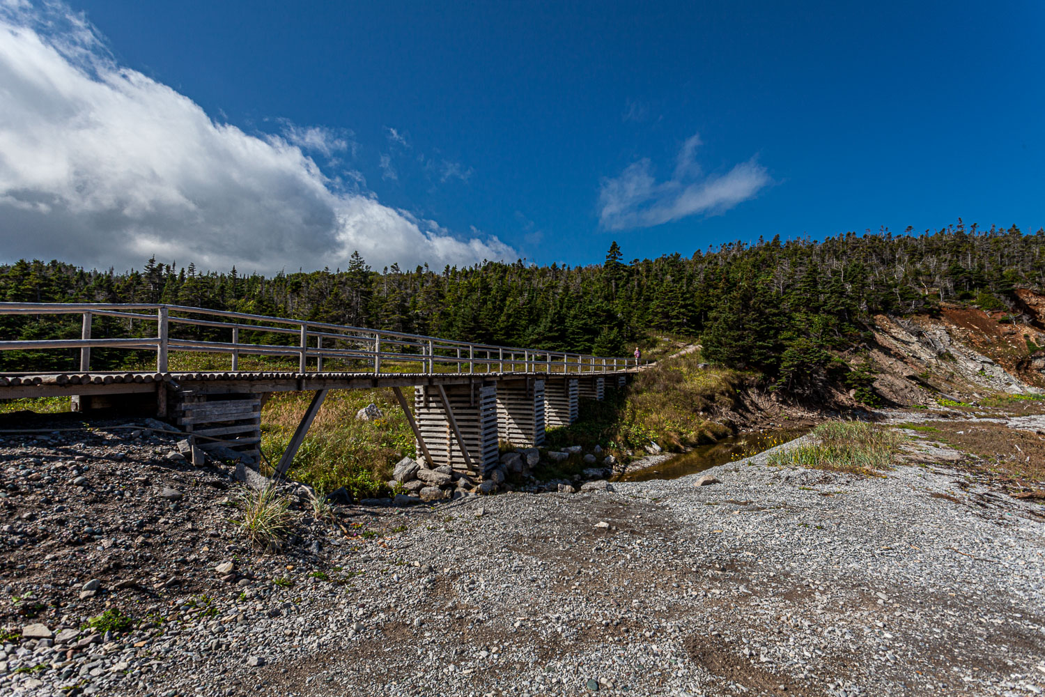 NFLD_14_61928__MG_9257.jpg