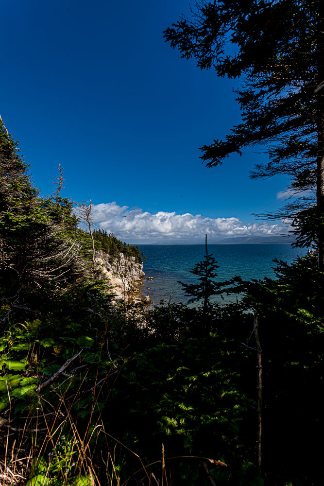 NFLD_14_61934__MG_9260.jpg