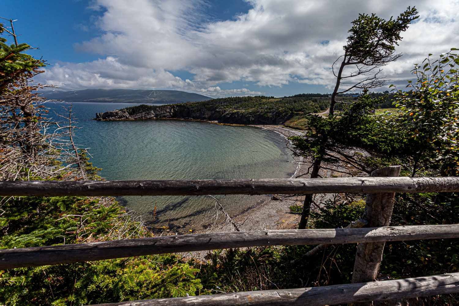 NFLD_14_61938__MG_9262.jpg