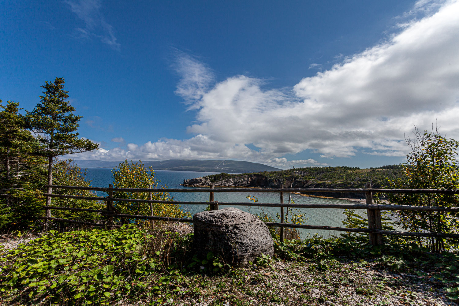 NFLD_14_61944__MG_9265.jpg